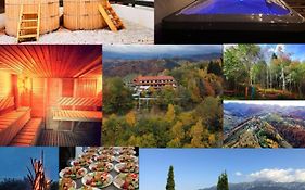 Belvedere Resort Moieciu